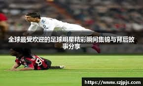 愿无大碍！英冠查尔顿vs朴茨茅斯因看台球迷昏迷不醒腰斩