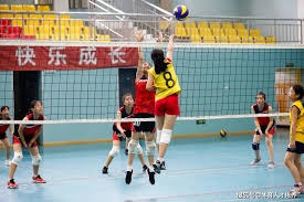 官方：意大利与北爱尔兰的世欧预附加赛将在亚特兰大主场进行